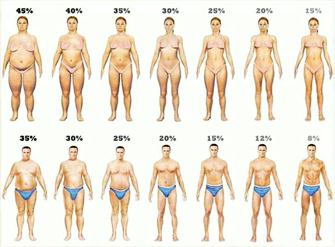 体脂肪チェック