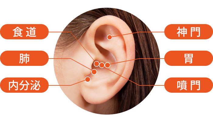 健康的に美しく痩せるダイエット